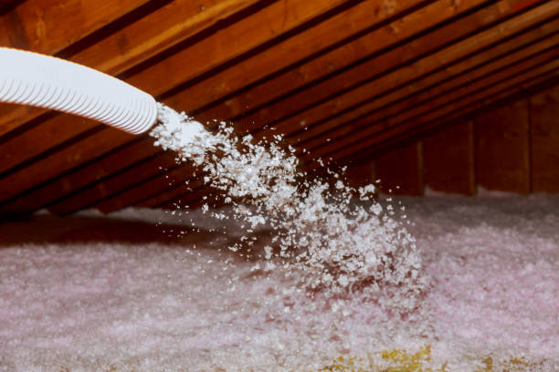 Best Crawl Space Insulation  in Cornwells Heights, PA
