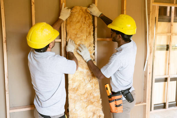 Best Professional Insulation Contractor  in Cornwells Heights, PA